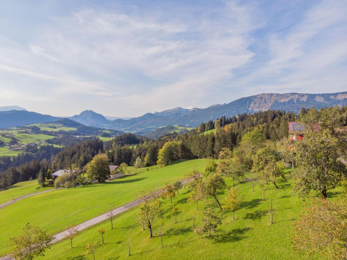 Holiday Home Oberhaslach By Interhome Abtenau Exterior photo